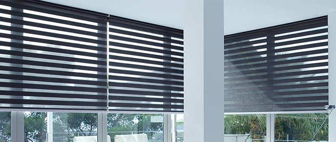 Blackout Zebra Shades