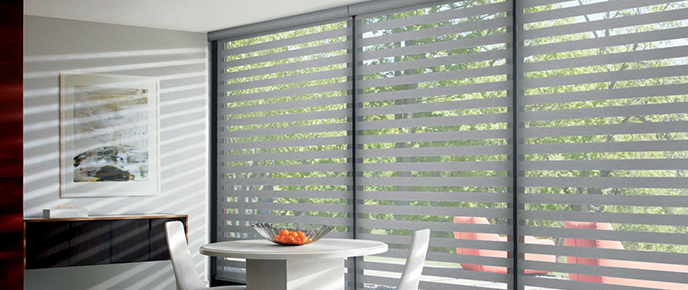 Light Filtering Zebra Shades